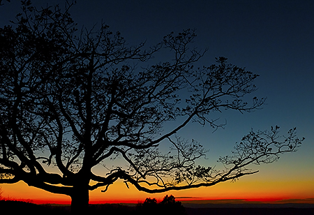 After the Sunset on Skyline Drive, Shenandoah National Park, VA